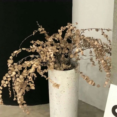 Furry原创作品欣赏Furry群